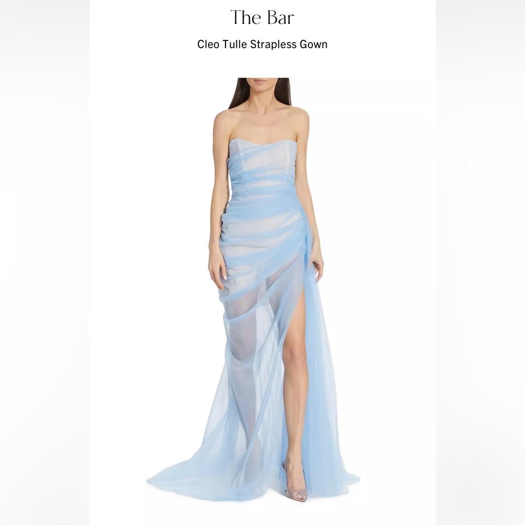 The Bar Blue Organza Dress Size 4 (Small) Worn Only One Time For Pictures